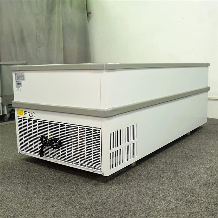 Ice Chest Freezer