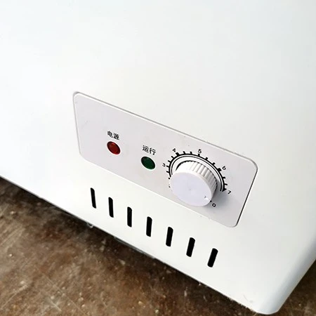 Restaurant Chest Freezer